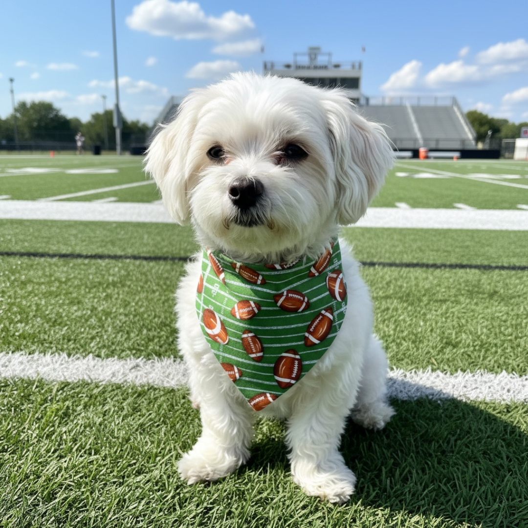 Game Day Dog Bandana