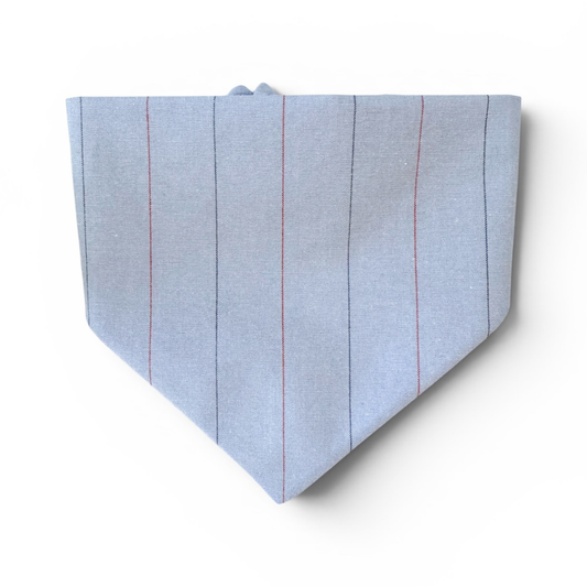 Chambray Dog Bandana
