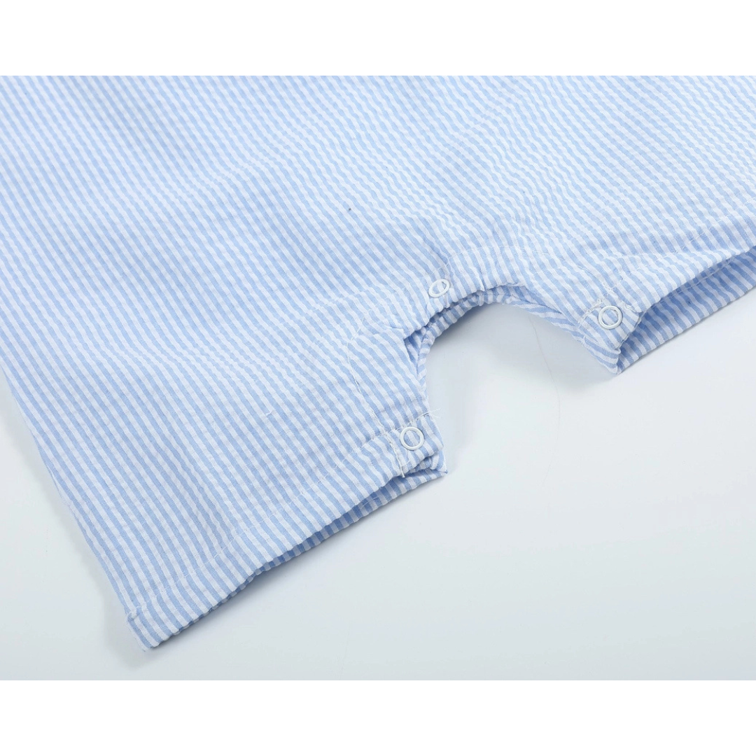 Blue Seersucker Bunny Face Shortalls