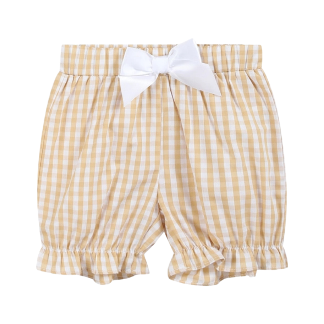 Light Brown Gingham Pumpkin Vine Dress and Bloomer Set
